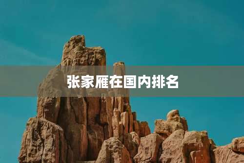 张家雁在国内排名