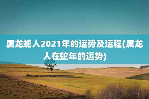 属龙蛇人2021年的运势及运程(属龙人在蛇年的运势)