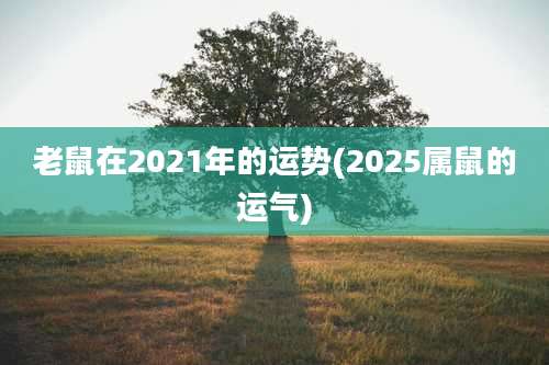 老鼠在2021年的运势(2025属鼠的运气)