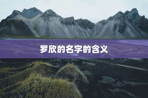 罗欣的名字的含义