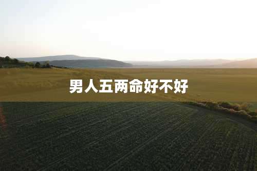 男人五两命好不好