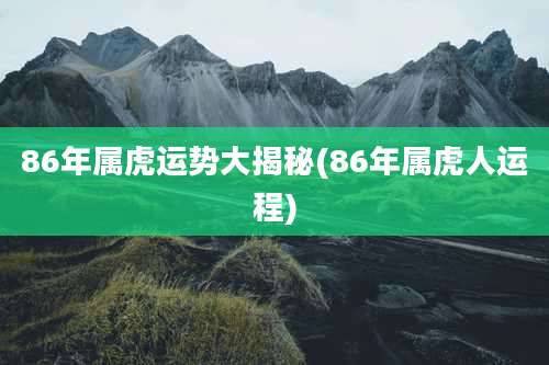 86年属虎运势大揭秘(86年属虎人运程)