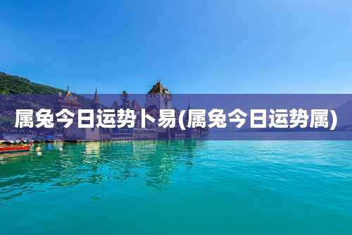 属兔今日运势卜易(属兔今日运势属)