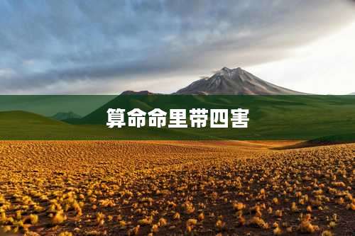 算命命里带四害