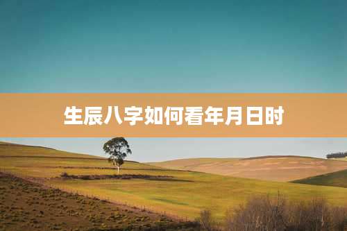 生辰八字如何看年月日时