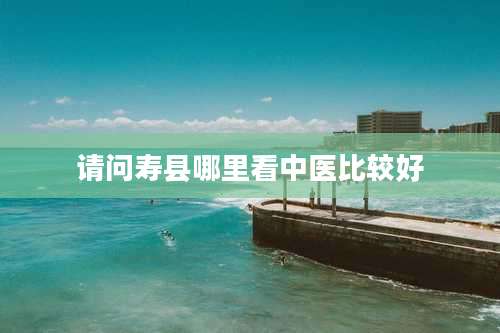 请问寿县哪里看中医比较好