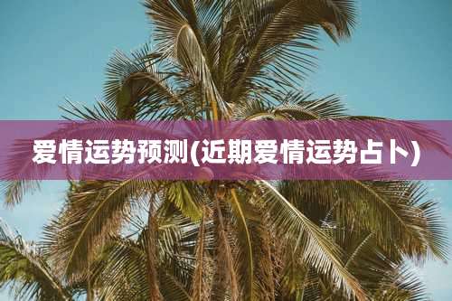 爱情运势预测(近期爱情运势占卜)