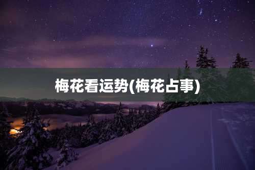 梅花看运势(梅花占事)