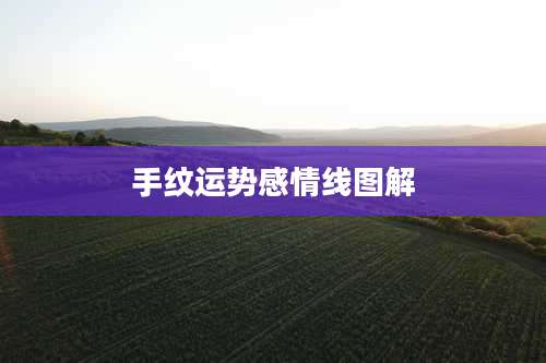 手纹运势感情线图解