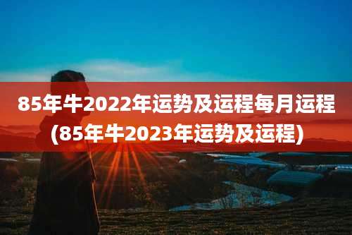 85年牛2022年运势及运程每月运程(85年牛2023年运势及运程)