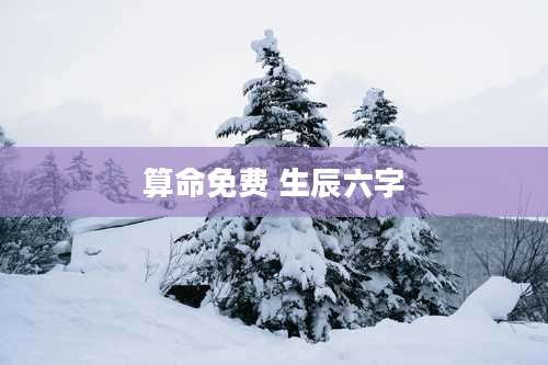 算命免费 生辰六字