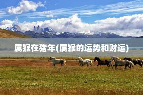 属猴在猪年(属猴的运势和财运)