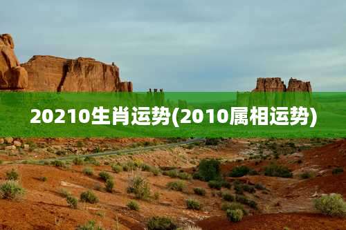 20210生肖运势(2010属相运势)