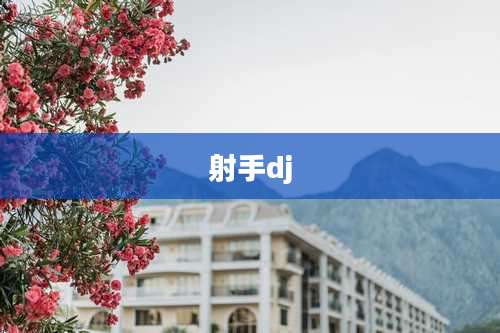 射手dj