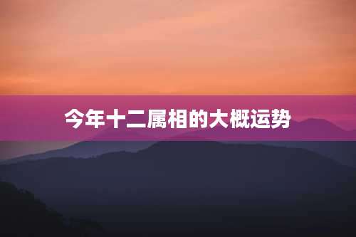 今年十二属相的大概运势