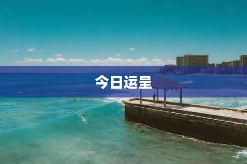 今日运呈