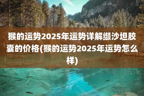 猴的运势2025年运势详解缬沙坦胶囊的价格(猴的运势2025年运势怎么样)