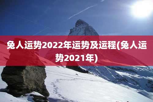兔人运势2022年运势及运程(兔人运势2021年)