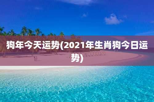 狗年今天运势(2021年生肖狗今日运势)