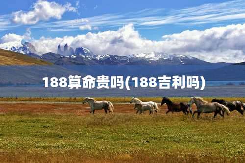 188算命贵吗(188吉利吗)