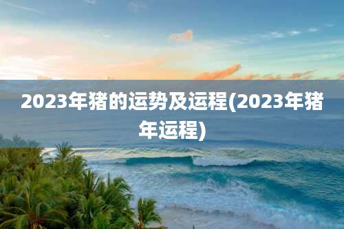 2023年猪的运势及运程(2023年猪年运程)