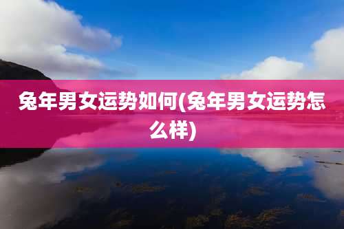 兔年男女运势如何(兔年男女运势怎么样)