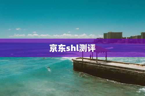 京东shl测评