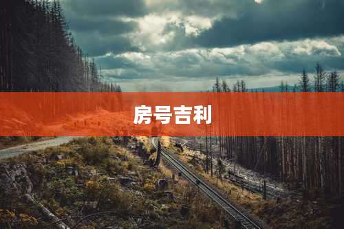 房号吉利