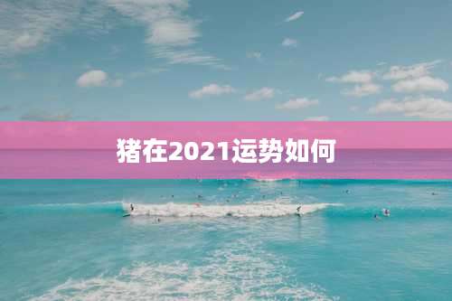 猪在2021运势如何