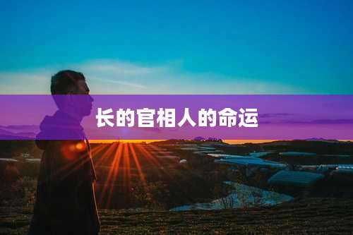 长的官相人的命运