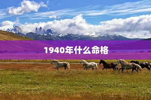 1940年什么命格