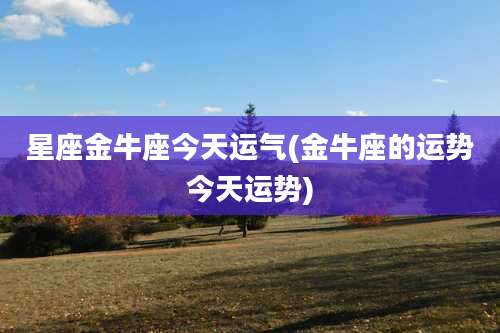 星座金牛座今天运气(金牛座的运势今天运势)