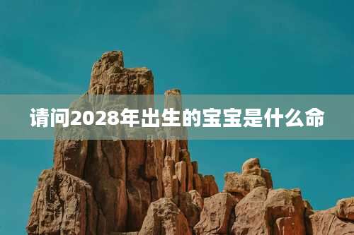请问2028年出生的宝宝是什么命