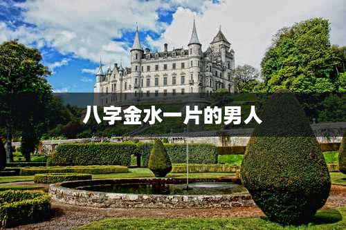 八字金水一片的男人
