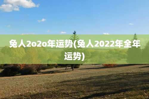 兔人2o2o年运势(兔人2022年全年运势)