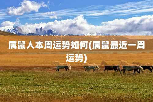 属鼠人本周运势如何(属鼠最近一周运势)