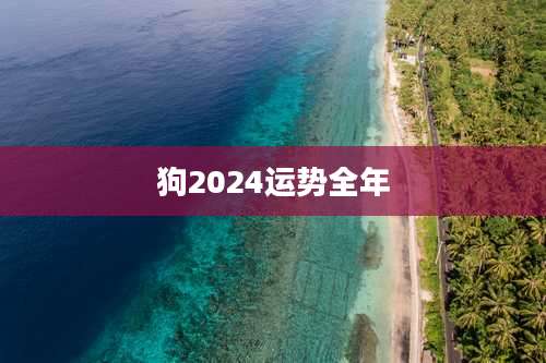 狗2024运势全年