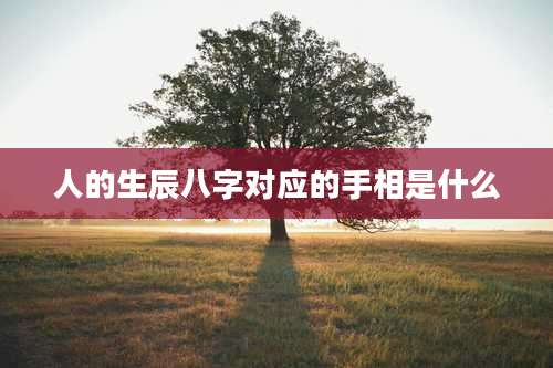 人的生辰八字对应的手相是什么