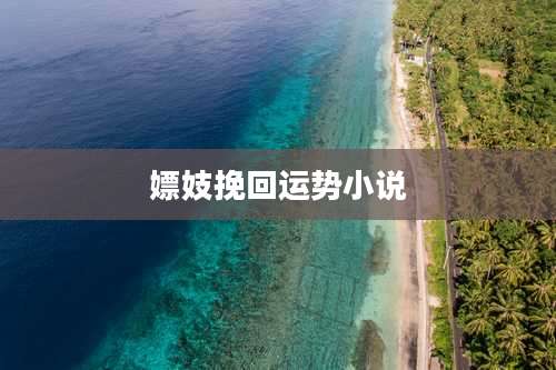 嫖妓挽回运势小说