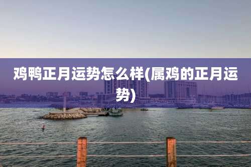 鸡鸭正月运势怎么样(属鸡的正月运势)