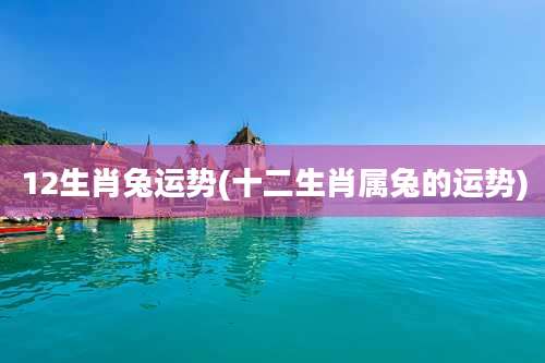 12生肖兔运势(十二生肖属兔的运势)