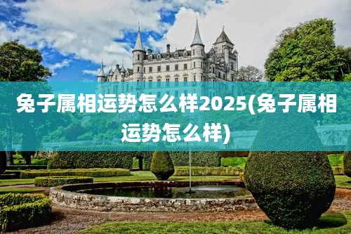兔子属相运势怎么样2025(兔子属相运势怎么样)