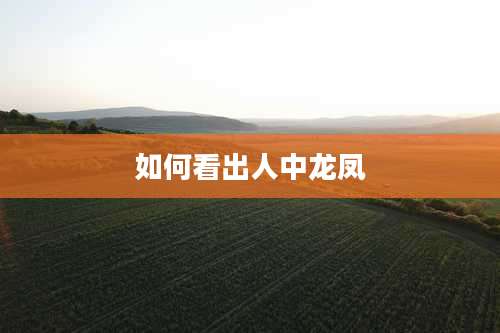 如何看出人中龙凤