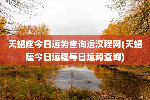 天蝎座今日运势查询运汉程网(天蝎座今日运程每日运势查询)