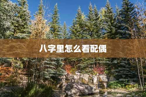 八字里怎么看配偶