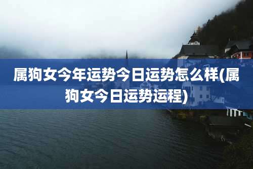 属狗女今年运势今日运势怎么样(属狗女今日运势运程)