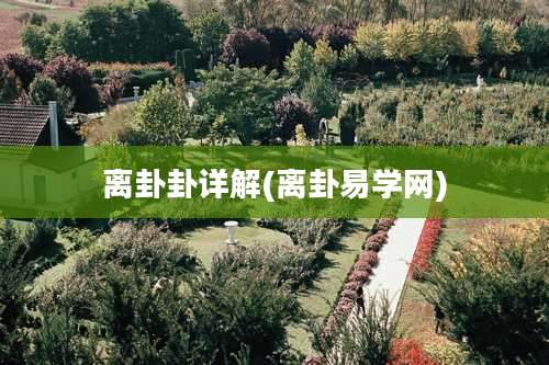 离卦卦详解(离卦易学网)