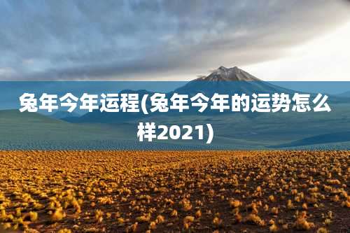 兔年今年运程(兔年今年的运势怎么样2021)