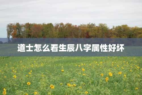 道士怎么看生辰八字属性好坏