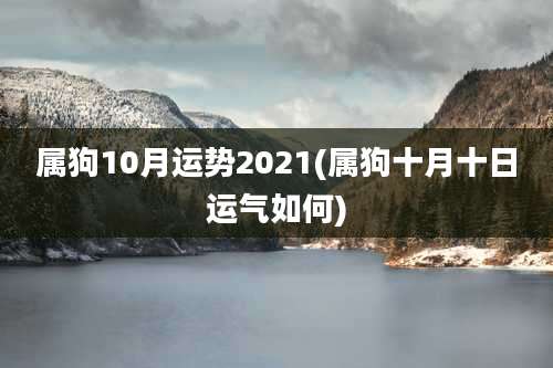 属狗10月运势2021(属狗十月十日运气如何)
